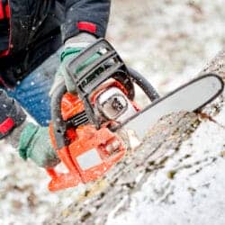 Gartenarbeit im Winter