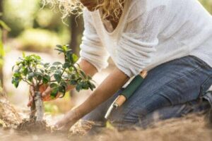 Elektrische Schubkarren für eine effiziente Gartenarbeit – Schwere Lasten leicht transportiert!